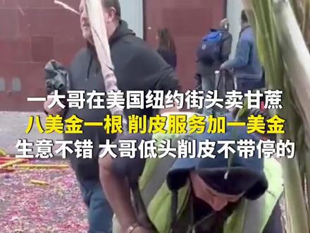11月19日(采访时间),美国。一大哥在美国纽约街头卖甘蔗,八美金一根,削皮服务加一美金,生意不错,大哥低头削皮不带停的!(来源@华龙网)