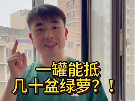 除醛凝胶是真有效,还是假噱头? #除甲醛#希望树小绿罐