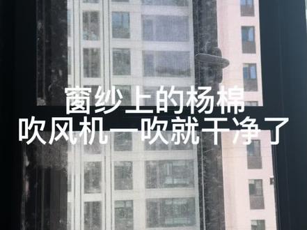 网友交的方法太好用了,窗纱上的杨棉,用吹风机一吹全飞走了
姐妹们,你们家是不是也一样?
一到杨棉季,窗纱上粘的密密麻麻,看着就难受,刚才有网友给我留言,说用吹风机就能吹走,我赶紧来试一下。
就对着窗纱吹,杨棉立马就飞走了,太省事了。
不用拆纱窗,不用水洗,用家里的吹风机就可以,真的很方便,你们也可以试一下#杨棉满天飞 #窗纱清洁#去甲醛 #新家入住#装修避坑