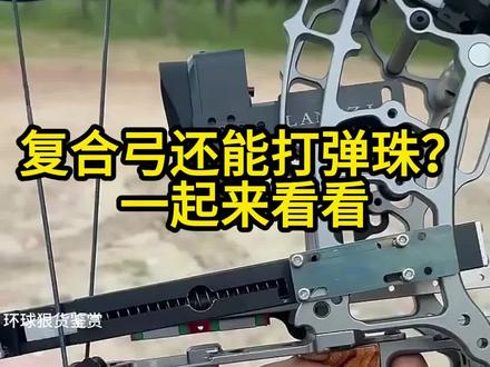 看看复合弓怎么打弹珠的?威力还可以 #复合弓 #弹弓