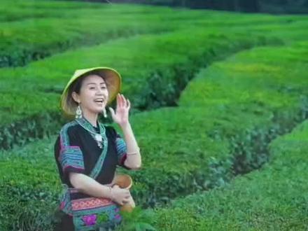 这首《英山茶歌》偶然在网上发给孤木老师听了,认为我写的中茶歌他最喜欢的一首,就根据歌词配了个视频。难得他有心找的画靣,觉得好美,就上传与朋友们分享!