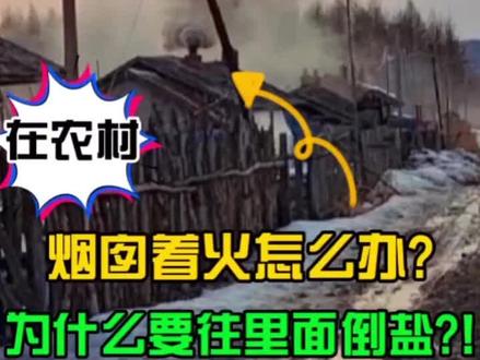 陆姥爷家烟囱着火了,我爬上屋顶救火,往里倒盐是什么原理?