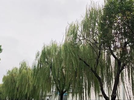 硅橡胶制品工厂:一起参观翰宏 #橡胶制品厂家