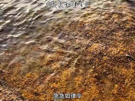 急急如律令 妈咪贝贝哄.#急急如律令 #妈咪贝贝哄 #音乐推荐