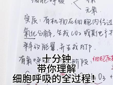 十分钟带你理解细胞呼吸的全过程!#高考生物 #细胞呼吸 #有氧呼吸 #生物 #高中生物 重新上传了一下 改了下画质❤ #抖音高考百日百课