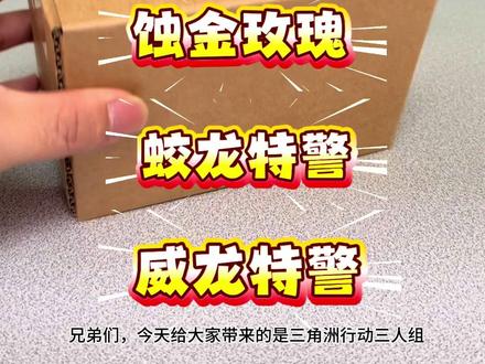 乐高三角洲行动乐高人仔威龙特警积木人露娜凌霄戍卫干员红狼玩具人偶#三角洲行动 #积木 #六一儿童节礼物 #男孩玩具 #零号大坝