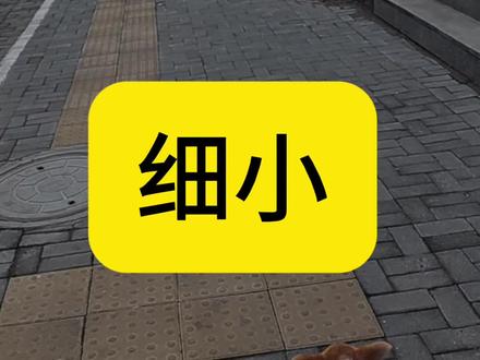 幼犬常见问题细小#兽医 #宠物医院 #细小 #聊城宠物医院 #宠物驱虫的重要性