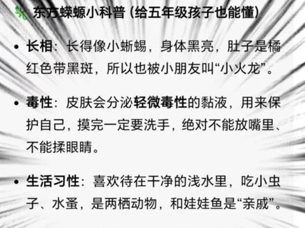 #创作者中心 #创作灵感 #分享有趣的视频 #东方蝾螈 #小学生科普 🦎 东方蝾螈小科普(给五年级孩子也能懂)
- 长相:长得像小蜥蜴,身体黑亮,肚子是橘红色带黑斑,所以也被小朋友叫“小火龙”。
- 毒性:皮肤会分泌轻微毒性的黏液,用来保护自己,摸完一定要洗手,绝对不能放嘴里、不能揉眼睛。
- 生活习性:喜欢待在干净的浅水里,吃小虫子、水蚤,是两栖动物,和娃娃鱼是“亲戚”。
- 再生能力:尾巴断了还能重新长出来,是自然界的“超能力”小生物。
- 饲养提醒:不建议随便放生,会破坏本地生态;也不要和其他小鱼混养。