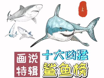 #我要上热门 十大凶猛鲨鱼榜.上!欢迎补充!#学浪计划 #抖音青少年 #青少年爱自然 #画画 #科普 #手绘