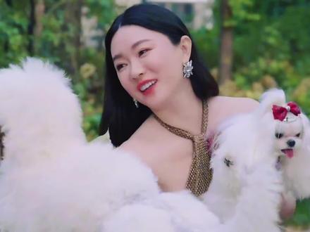 现实中谁不想赘给人美心善的仙女姐姐呢#霍思燕 #比格犬 #杜江 #犬展 #正能量