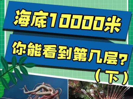 海底一万米,下期来啦,带你浏览海底世界!深海恐惧症勿入!#萌知计划 #十万个为什么 #动物植物 @抖音青少年
