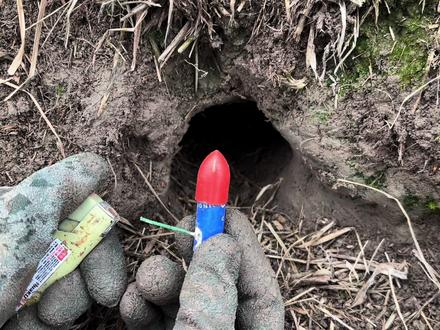 小伙的新型“AK47”灭鼠,加上魔鬼辣椒更厉害,害鼠一一出洞#乡村军仔 #军仔抓老鼠 #抓老鼠 #驱鼠