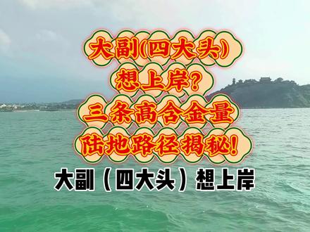 大副(四大头)想上岸?条高含金量陆地路径揭秘!#航海 #船员