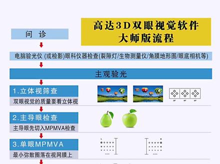 高达3D双眼视觉软件:大师版验光流程图