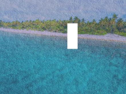 加糖、加水、加香精,椰子水为何集体造假? #椰子水 #315消费者权益日 #食品安全 #揭秘 #青年创作者成长计划