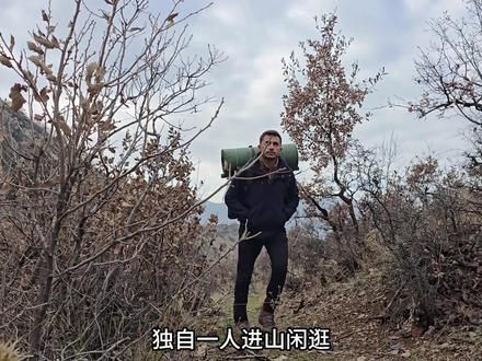 男人利用上百颗石块,在地下垒砌宽敞的一居室。 #荒野建造 #野外生存 #庇护所建造 #助眠 #荒野求生