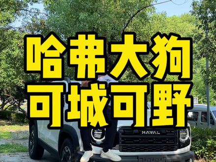 我的新伙计,26款大狗#城市越野双标杆