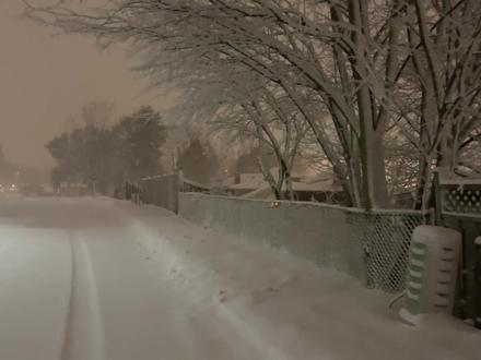 《黑土的乡愁》歌曲采用典型的民族小调或关东音乐元素,旋律走向沉稳、悠长,如同黑土地般宽广深厚,主歌叙事铺垫,副歌情感迸发,记忆点深刻。