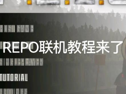 REPO联机教程来了。