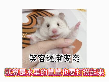 绝密航天那你还不来吗 #三角洲行动 #游戏 #原创动画