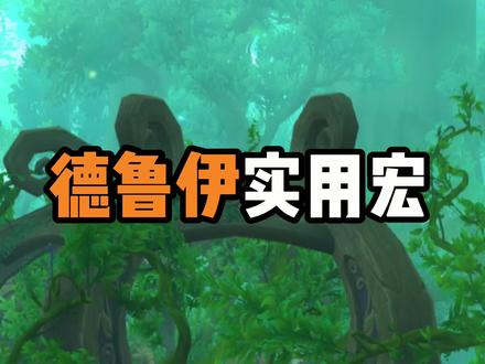 #魔兽世界 德鲁伊实用宏命令分享,一键爆发想开就开~