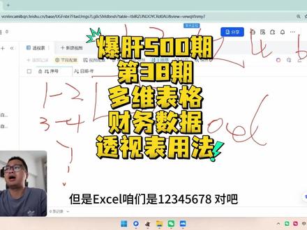 第38期10分钟财务流水用透视表做差额 第38期10分钟财务流水用透视表做差额#茶太正经 #多维表格 #飞书多维表格