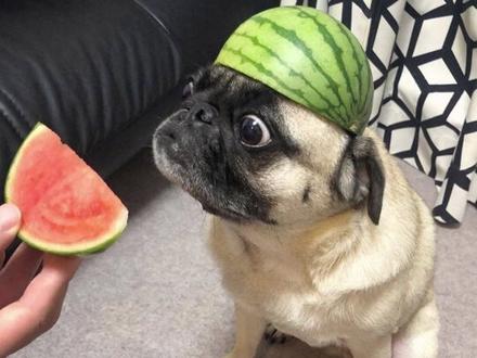 #吃瓜 双顶流恋情瓜来了! 你能猜到是谁吗?#娱乐播报台