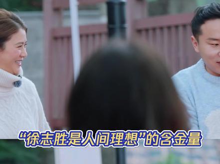 徐志胜是人间理想的含金量还在上升 #徐志胜 #袁咏仪 #徐若晗