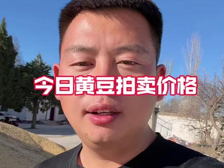 黄豆拍卖价格 今日中储粮拍卖10万吨黄豆 成交64941吨 成交价格4505 黄豆价格目前总体偏弱#黄豆价格