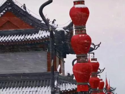 #小圆头 #小洛熙 素未谋面,你却牵动着多少人的心!!!