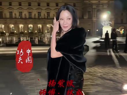 盘点哪些功夫明星 是师徒关系吴京 甄子丹等 ……