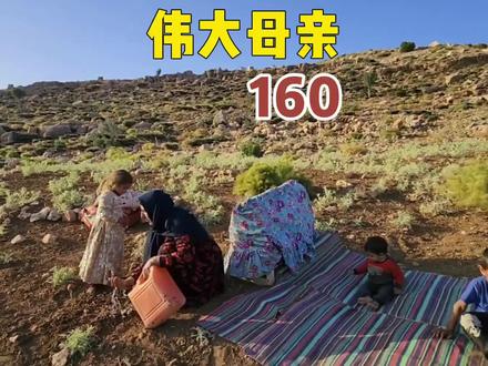 师傅用白水泥涂在外墙上,米拉过来羊屋这里喂羊#农村生活 #解压 #游牧生活 #荒野建造
