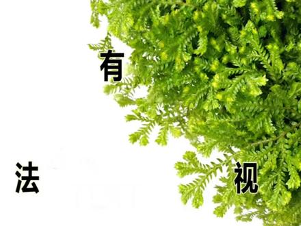 U盘属性里没有安全选项卡怎么办