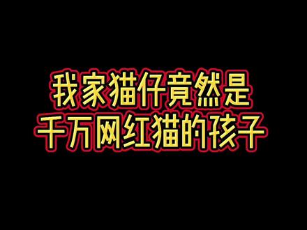 有果冻爸爸,以后不用愁猫粮了!耶!#猫咪的迷惑行为 #猫咪的日常 #果冻是只可爱猫