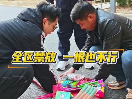 燃放烟花爆竹的危害,远比你想象的多。用搞笑的方式讲严肃的事,希望大家都记在心里!#普法 #平安过年 #禁放烟花