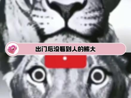 熊出来后: 我刚咋听见熊二来了?#熊出没#熊二#模仿#搞笑