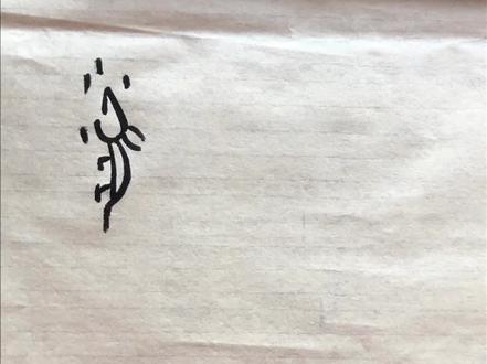 一点都不偏心#拼豆 #十二生肖 #十二生肖赛金刚 #甲骨文 #书法