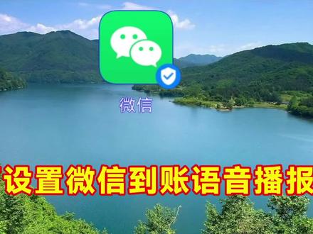 如何设置微信到账语音播报,教程简单易学一看就会 #微信 #小技巧你学会了吗 #干货分享