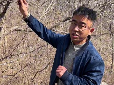 正月来摘桃枭#大山里的原生态 #桃枭