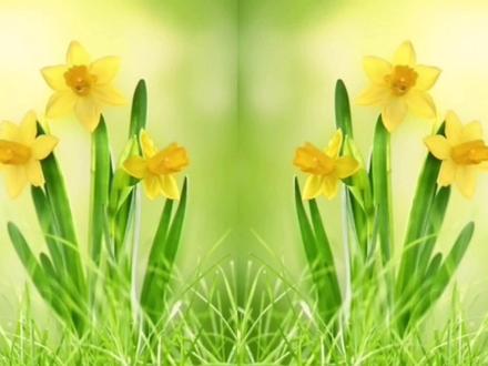 剪映制作,双面翻页效果视频,简单易操作 #视频剪辑教程