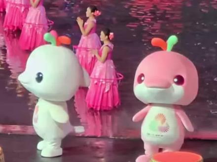 #全运会 两只吉祥物痛失本名,可爱的“大湾鸡”原型是中华白海豚,它们和曾经的顶流“#冰墩墩 ”都来自广州美术学院设计团队。