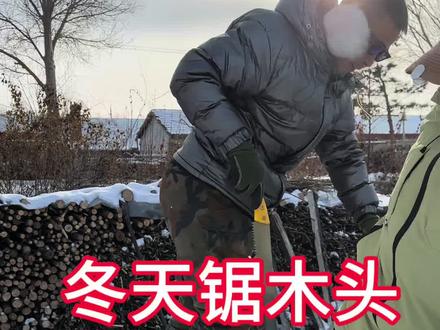 冬天里锯木头手搂锯晟鹏东北林工40多年的老品牌 手楼据不选复杂的锯齿,只选传统锯齿,既好用又好打磨,传统锯齿可以反复使用,打磨锯齿,普通人就能够学会。#手锯#锯木头 #锯木神器 #修枝锯 #锯子