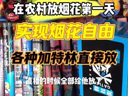 下期想看什么#烟花 #烟花秀 #新年快乐 #新年礼物 @抖音小助手