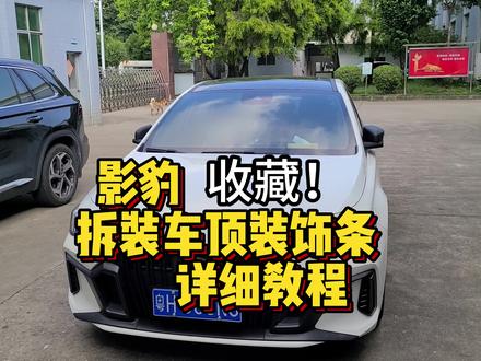 【收藏】【影豹使用说明书】影豹拆装车顶装饰条详细教程 #影豹使用说明书 #影豹 #汽车知识