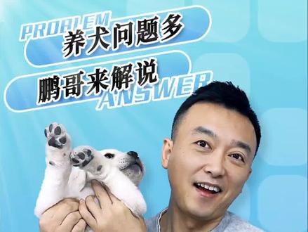 什么是CKU#CKU#cku犬舍#狗狗#纯种犬