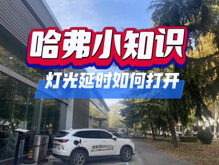 #哈弗大狗 灯光延时功能如何打开?#用车小知识