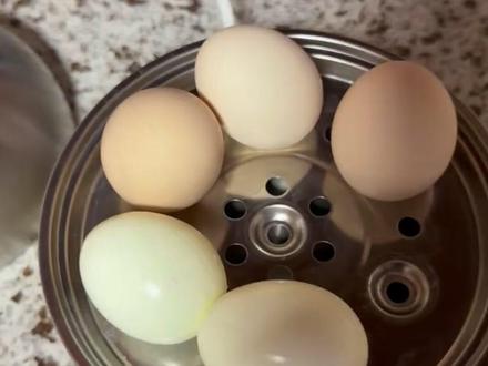 闺女用这煮鸡蛋特简单,糖心半熟全熟,简单操作方便快捷好吃! 这个小熊煮蛋器特别好用,简单操作方便好用最主要煮出来的鸡蛋好吃,糖心半熟全熟,大家可以试试! #美食 #煮鸡蛋 #煮蛋器 #好物推荐🔥 #好物种草