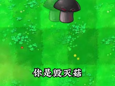 禁忌毁灭菇的奋斗... #植物大战僵尸杂交版 #单机游戏