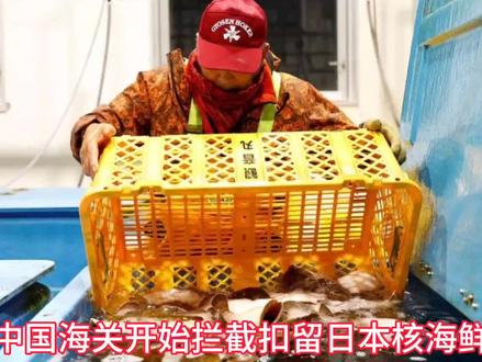 中国海关开始拦截扣留日本核海鲜,日本媒体调查后彻底傻眼了! #水产品 #食材 #生鲜