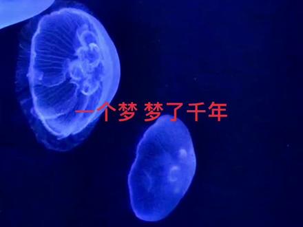 #我们都是时间的过客 #看淡人生才活的快乐 《千年后的千年》完正版